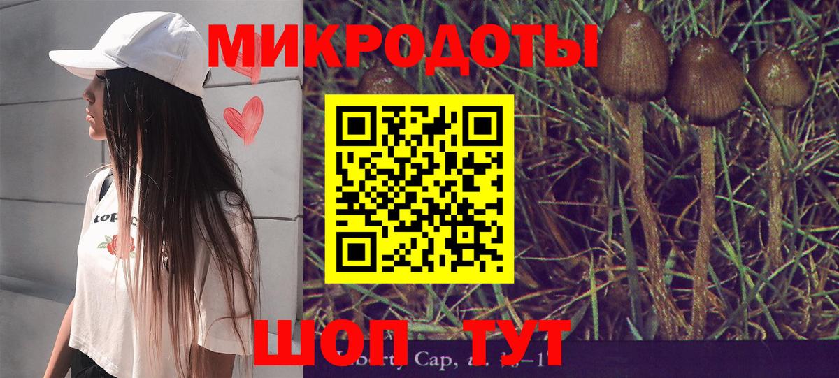 Красноярск  Псилоцибиновые грибы Magic Shrooms  Вход с VPN 