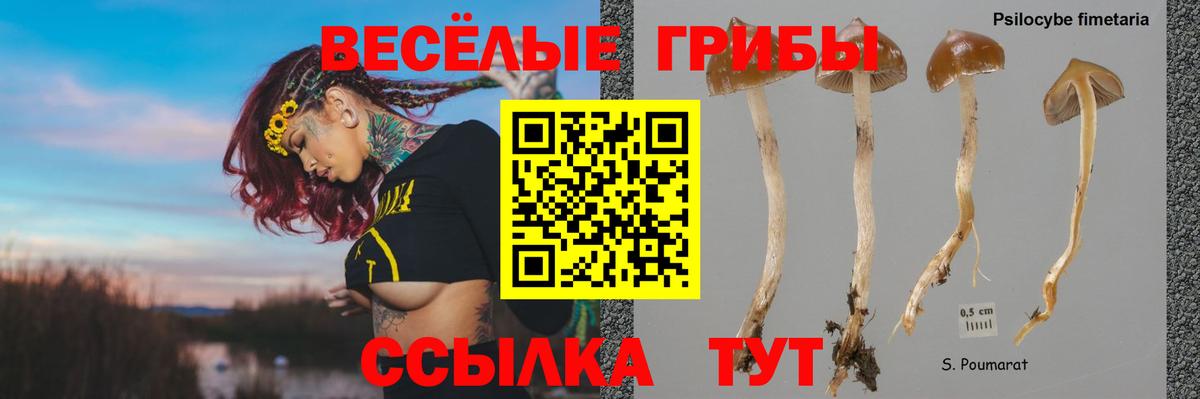 Галлюциногенные грибы MAGIC MUSHROOMS Красноярск
